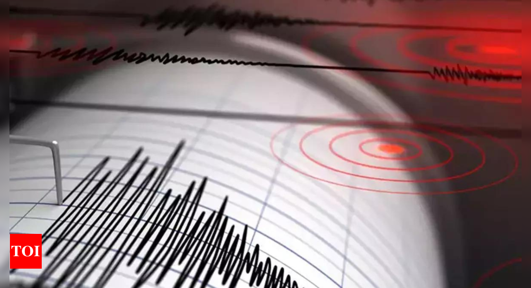 Tonga earthquake: A 7.2-magnitude earthquake hits off Tonga