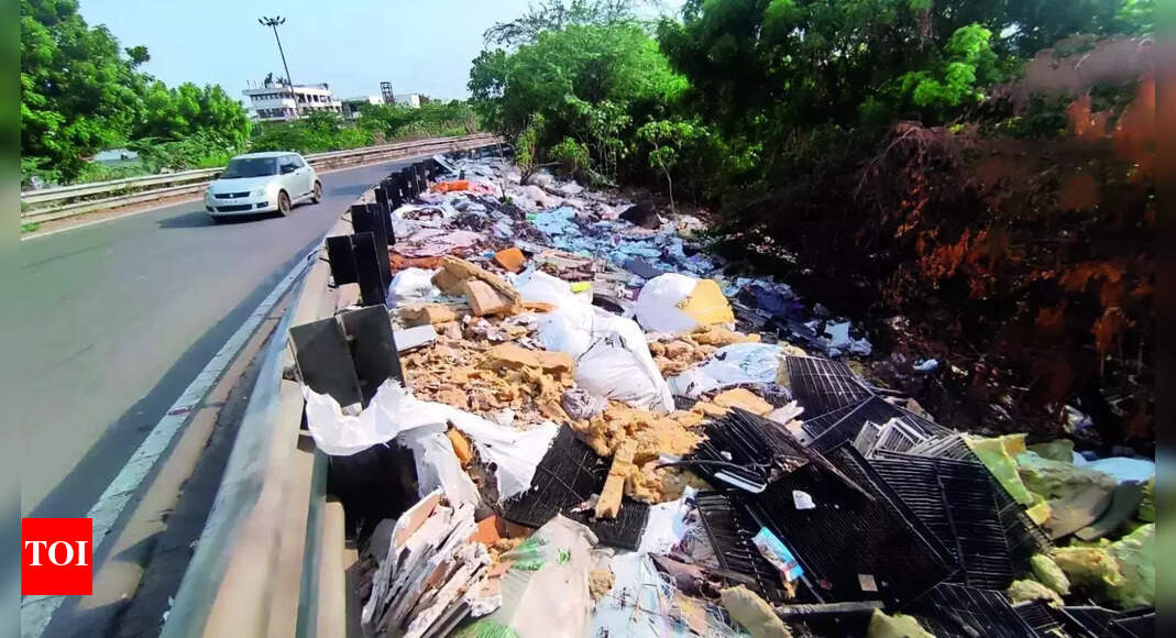 Illegal Dumping, Burning Of Garbage Continues Along Highways In Suburbs