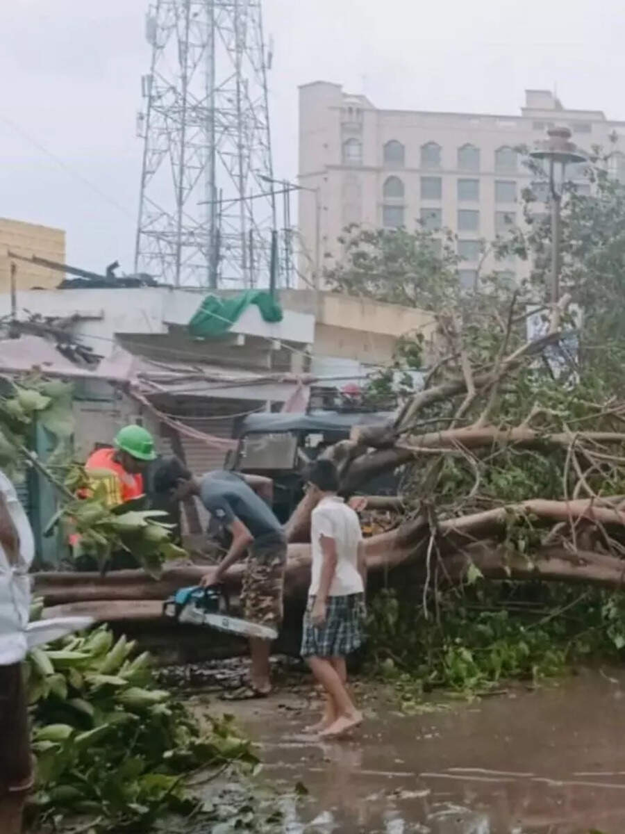 Gujarat Cyclone Effect: Cyclone Biparjoy leaves trail of destruction in ...
