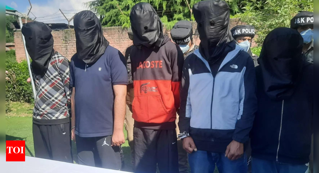 Kashmir: 5 JeM terrorists held in connection with circus worker's killing in Jammu and Kashmir | India News - Vimarsana News