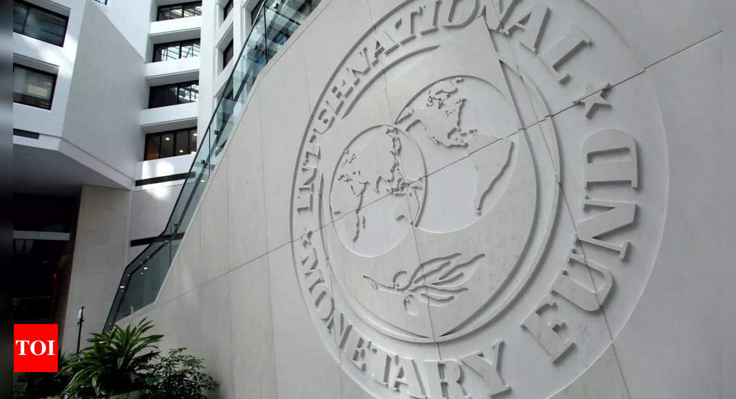 Pakistan blames geopolitics for stalled IMF programme – Times of India