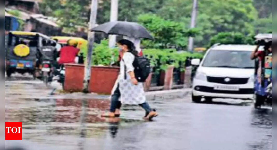 Udaipur and Jodhpur divs see moderate to heavy rain Jaipur News