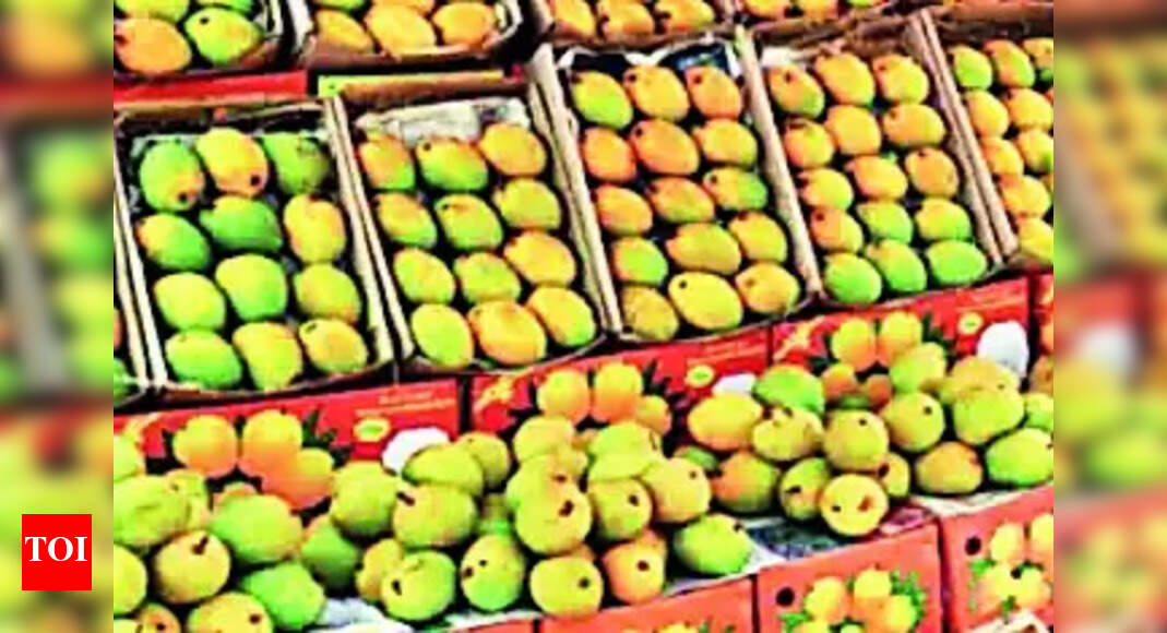 Khelgaon 2day Mango Fest Begins At Khelgaon Today Ranchi News