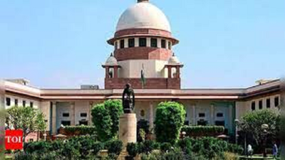 Third parties can’t claim title in partition suit: SC