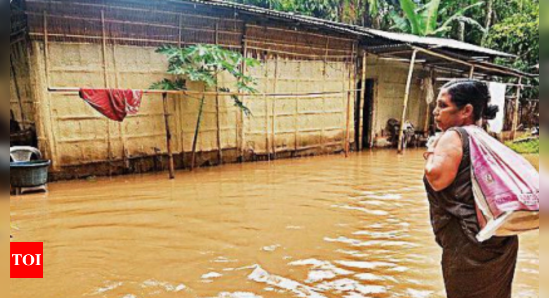 34-000-affected-in-assam-floods-lakhimpur-worst-hit-among-7-dists