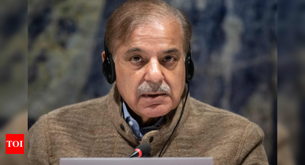 Shehbaz Sharif asks Nawaz to return Pakistan, become PM for fourth time – Times of India