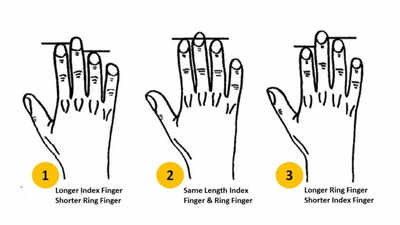 What does your finger length say about your personality? - Times of India