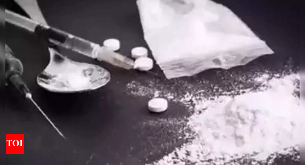 MCD sealed 25 properties used to peddle drugs Officials Delhi News