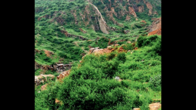 8% of Aravali hills gone since 1 9 7 5, 22% loss likely by 2 05 9: Study