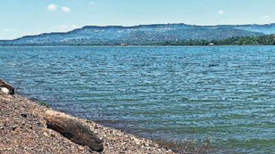 Live stock in 22 Bhima basin reservoirs dips below 25%