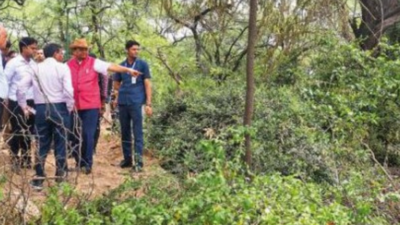 LG asks for floral facelift of area near Malcha Mahal