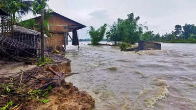 Assam flood situation grim, nearly 33,500 affected