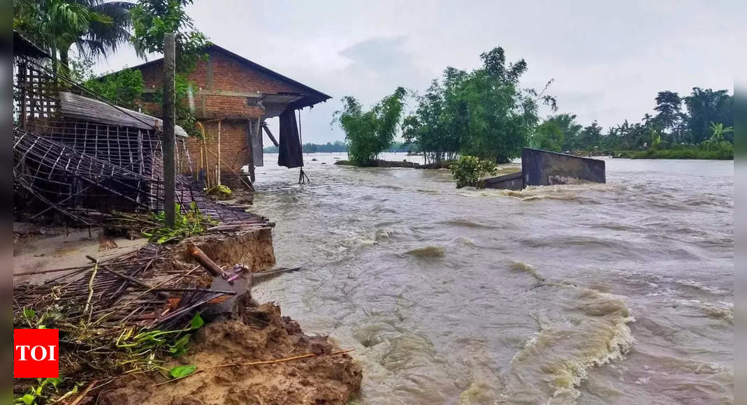 Assam Flood Situation Grim Nearly 33500 Affected India News Times Of India 3994