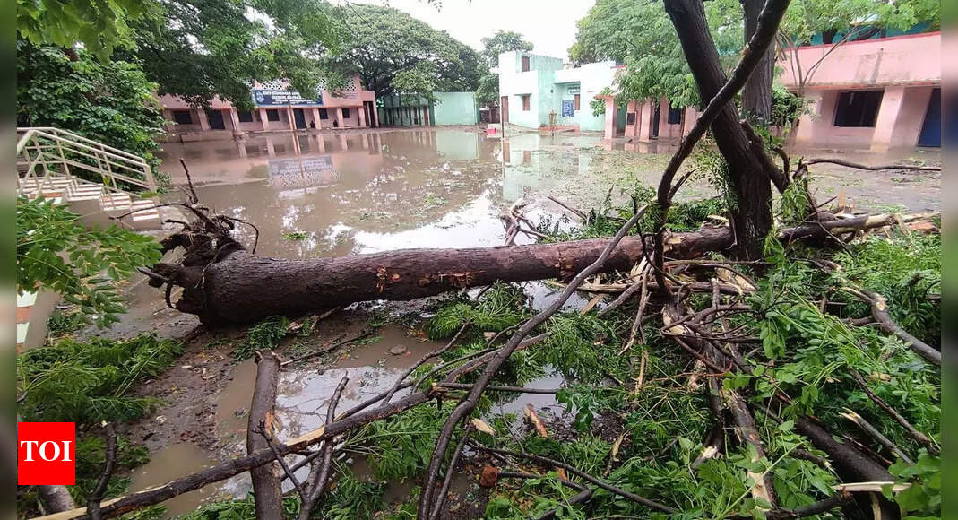 Chennai rain leaves many areas in darkness | Chennai News - Vimarsana News