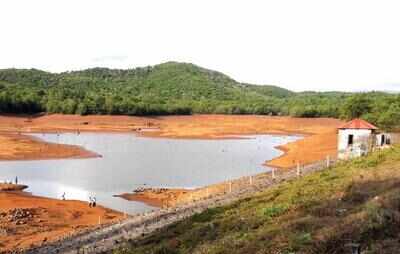 Rain relief: Mhaisal dam waters rise