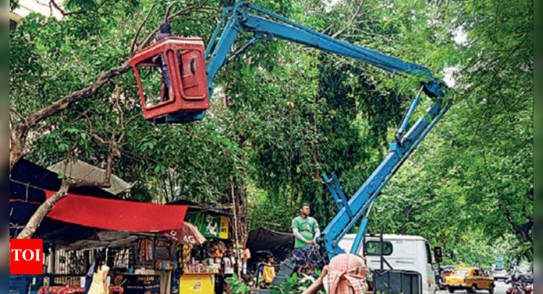 Kolkata Monsoon News 200 desilting machines, pumps to keep Kolkata afloat in monsoon Kolkata