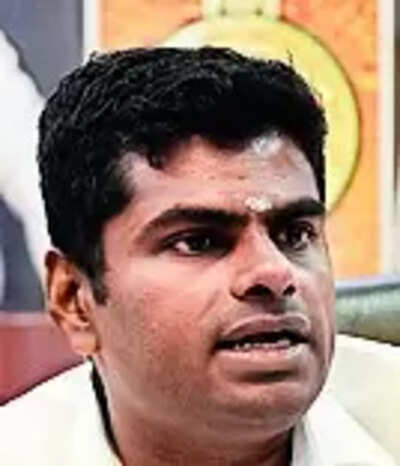 ‘DMK has no moral right to accuse BJP of misusing govt agencies’