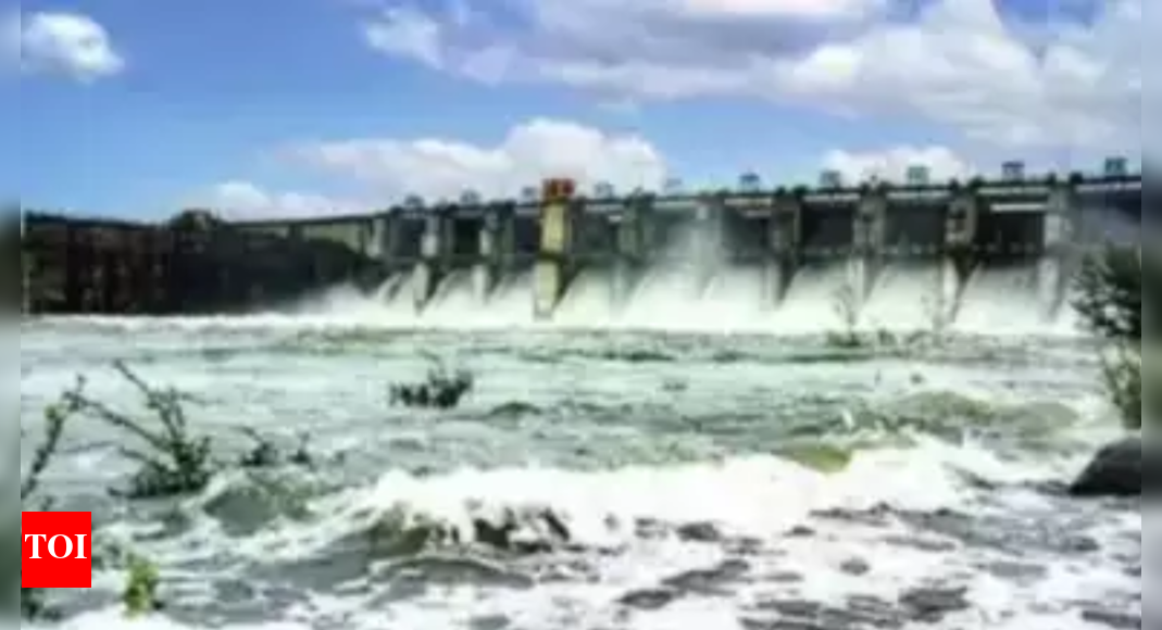 Four dams overflowing in Kutch Ahmedabad News Times of India