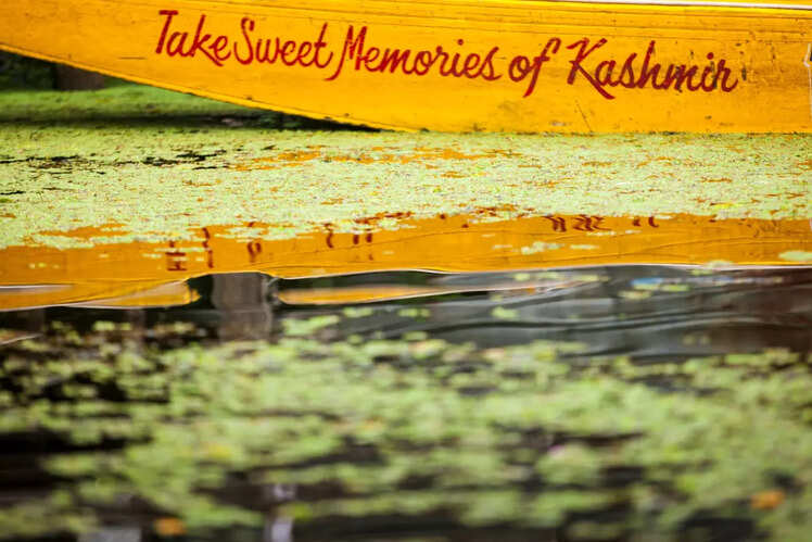 Kupwara