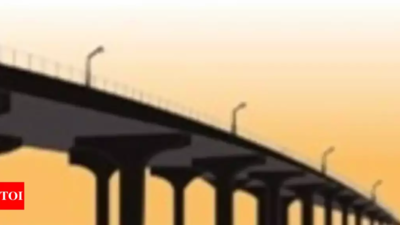 Centre opens 11 flyovers on Delhi-Panipat stretch of NH-44