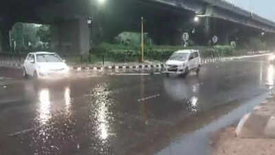 Rain lashes parts of Delhi, brings slight relief from heat