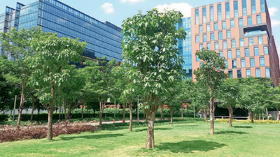 70% of 2.5k trees translocated from Metro sites have survived: BMRCL