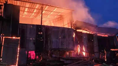 Fire engulfs saw mill in Nagpur's Lakadganj