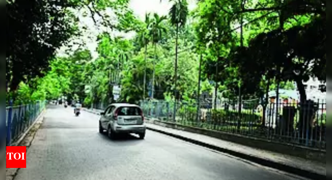 Southern Avenue Biker Killed In Crash On Southern Avenue Kolkata