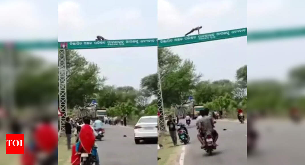 Drunk man does push ups at the top of a signboard - Times of India