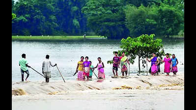 Floods worsen in Assam, affect 1.2L in 20 districts