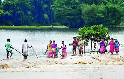Floods worsen in Assam, affect 1.2L in 20 districts