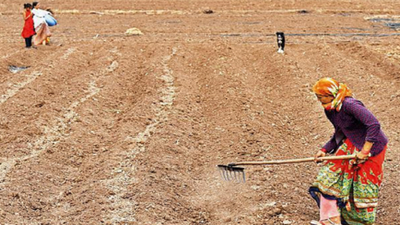 Rainfall deficiency swells to 85% across M'wada in June