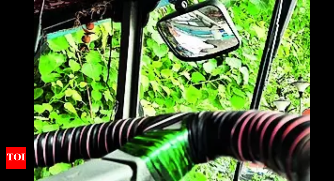 Convex Bus Convex Mirrors To Counter Blind Spots Kolkata News