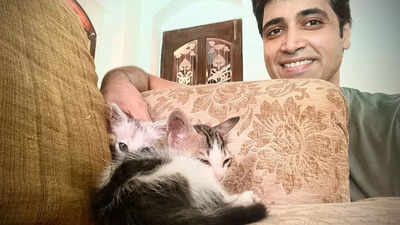 Adivi Sesh is now a cat daddy; shares pictures of his new babies