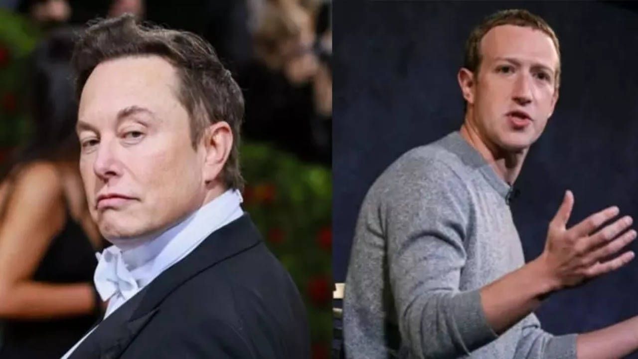 Elon Musk vs Mark Zuckerberg Cage Fight: Know all details here