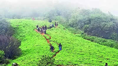 Now, visitors to get travel insurance for eco-tourism sites across Karnataka