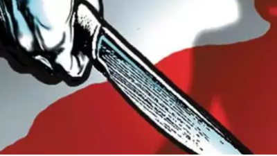 Karnataka: Mandya villager stabs his kids aged 4, 2, assaults wife