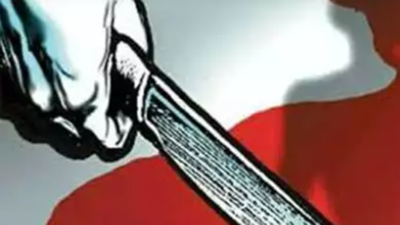 Man stabbed to death in Delhi's Wazirabad area, 1 arrested