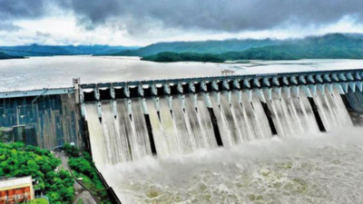 Gujarat to seek hike in Narmada water share