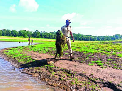 Foresters clear fishing nets at Nagarahole to protect wildlife
