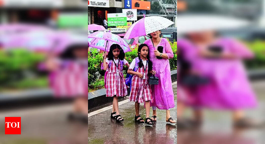 Mangaluru: Three Friends Help 500 Schoolkids Get Umbrellas | Mangaluru News - Vimarsana News