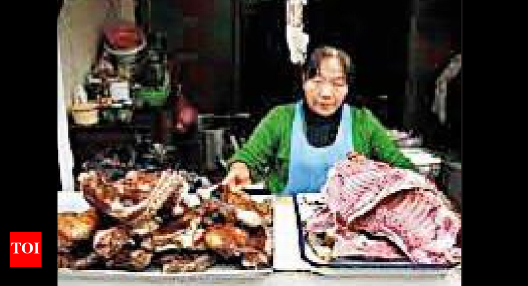 Mizoram government faces flak for dog meat ban Guwahati News Times