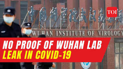No direct proof Covid-19 stemmed from Wuhan lab leak, US intelligence says