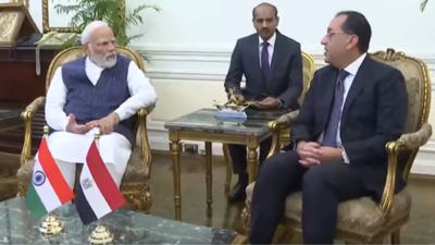 India, Egypt can cooperate in field of military R&D, manufacturing: Former IAF chief on PM Modi's State visit