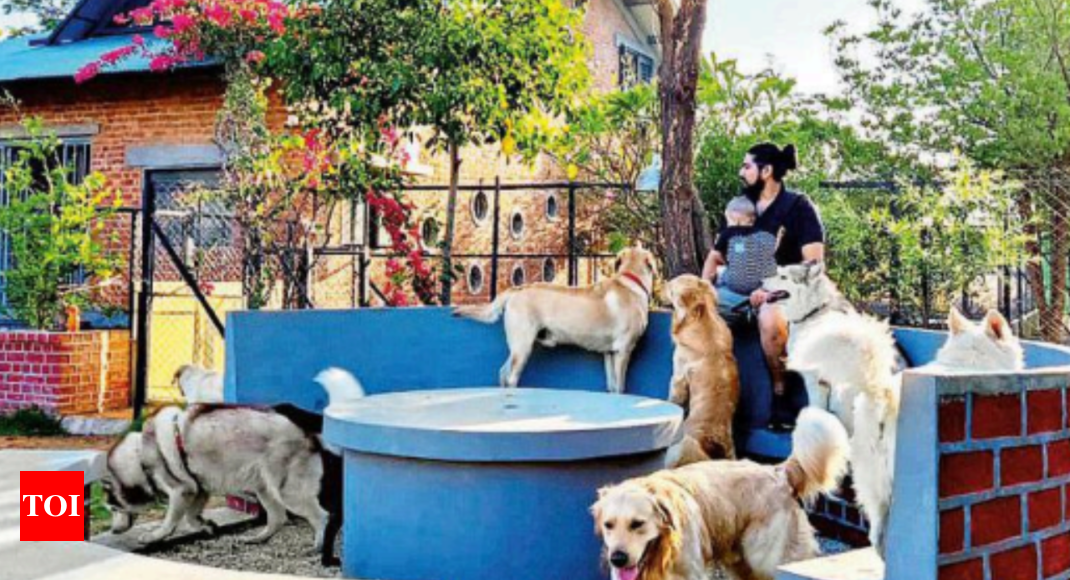 Get Your Pets Grooming On Point With Pune's First Grooming Van On