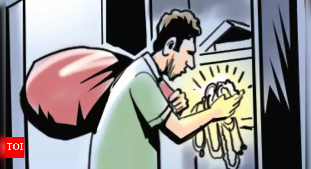 Burglars steal valuables worth Rs 21 lakh from CA's house | Ahmedabad ...