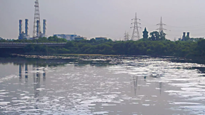 Yamuna cleaning: Committee identifies 3 more focus areas