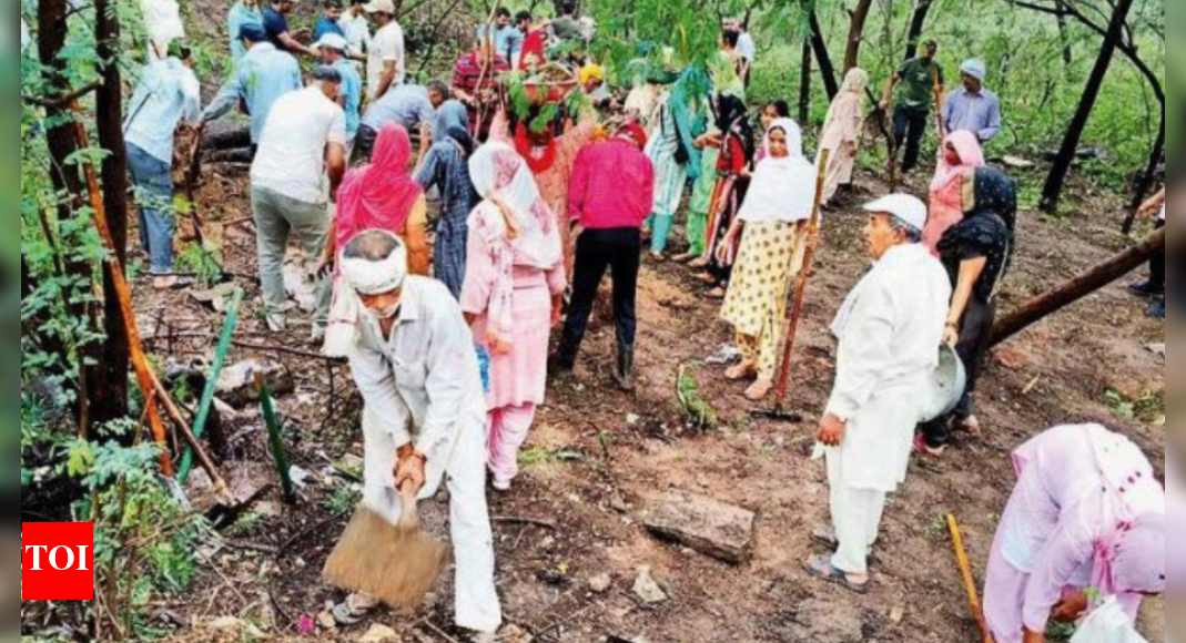 3.5k volunteers help revamp 3km stretch around Malcha Mahal | Delhi ...
