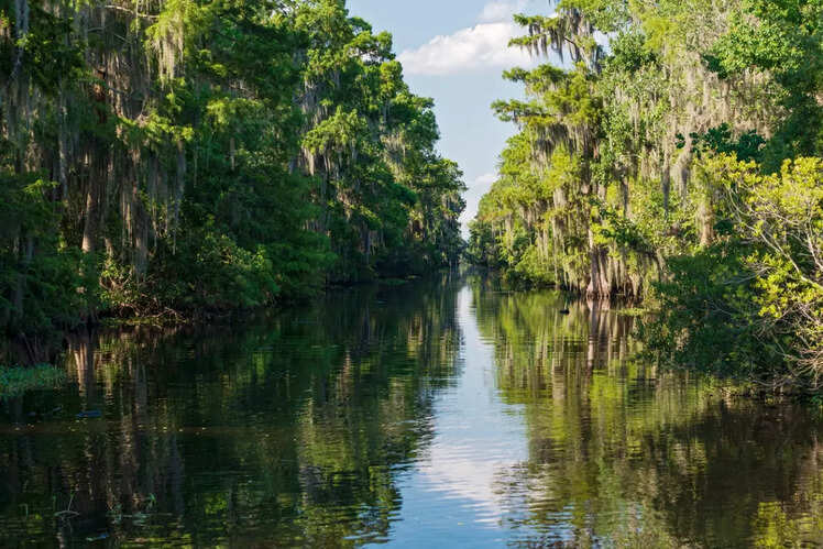 Mississippi River, North America