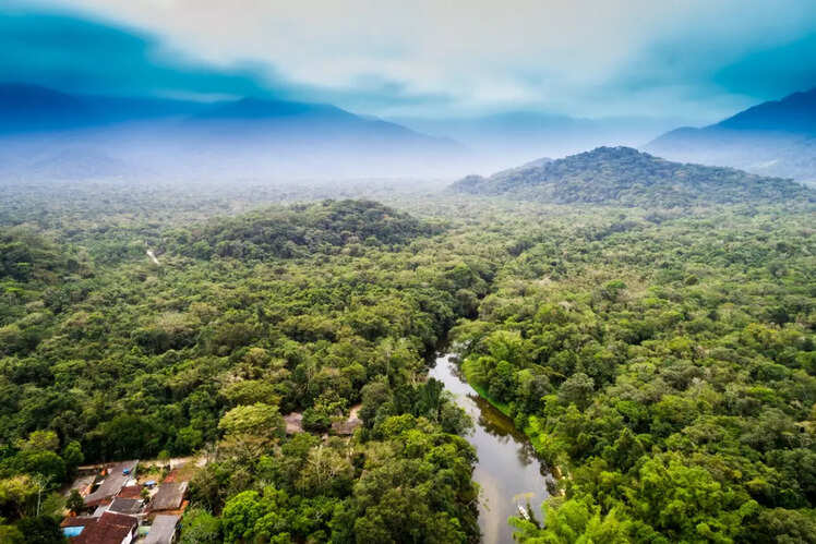 The Amazon River, South America